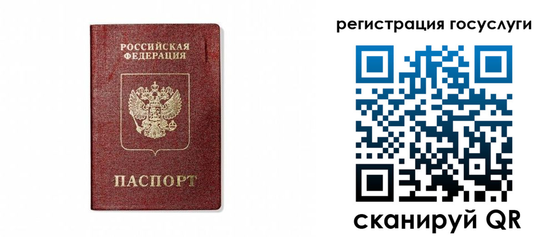 прописка паспорт в Нелидово
